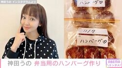 神田うの、フライパン2つで弁当用のハンバーグ作り「冷凍食品会社の工場長です」