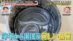 与えるエサの内容で性別をコントロール？ マツコ＆有吉、うなぎの“新事実”に驚愕「怖い」