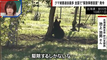 クマ多発の異常事態 捕獲後も箱わな内で激しく暴れる様子…「ヒグマとの