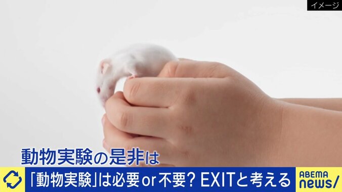 動物実験の是非