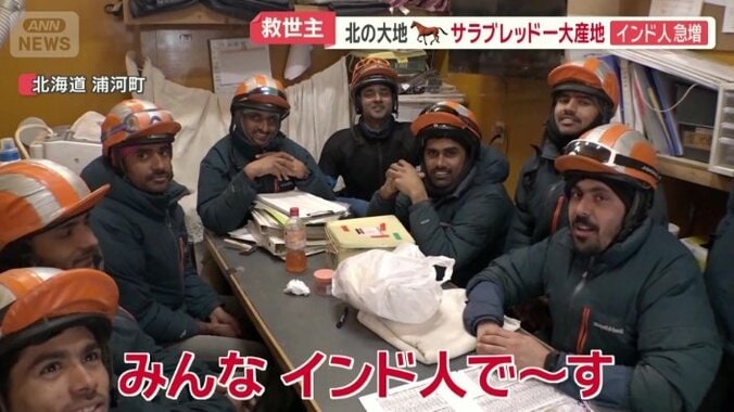 異国からのプロフェッショナル