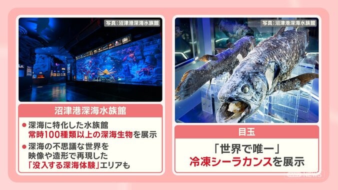 年末年始 中国人観光客自粛で京都のホテル値下げ続出？1泊2日のお得な旅先とは 14枚目