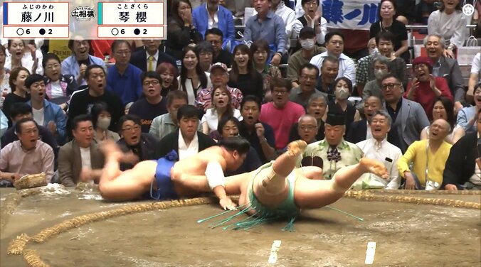 藤ノ川が琴櫻を“ぶん投げた”らスゴイ展開に 著名人2人が揃って「お口あんぐり」 カメラが捉えた面白リアクション「シンクロしてるw」 5枚目