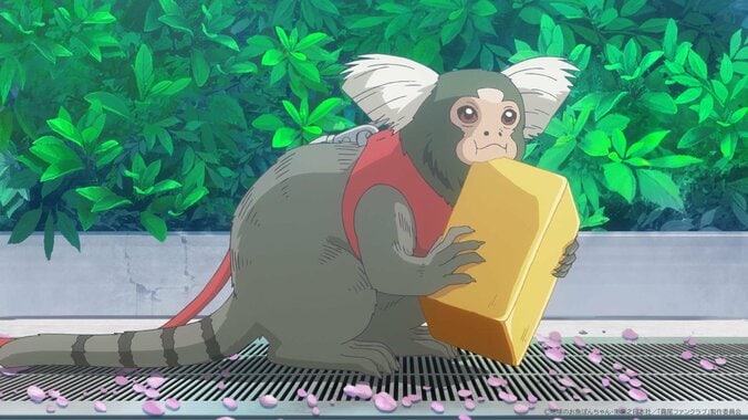 藍美と波は、気になる男子・ 霧尾への想いを語り合う…アニメ『霧尾ファンクラブ』第1話あらすじ＆先行カット公開 4枚目