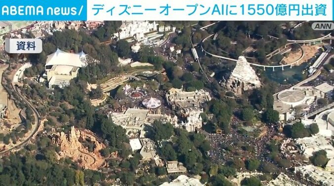 ディズニーランド全体像