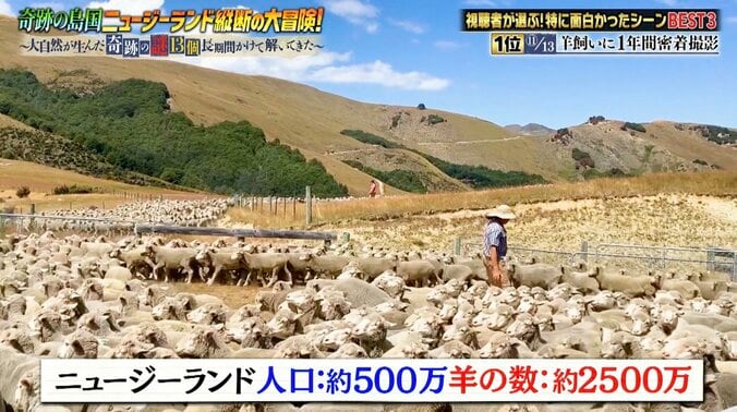 【写真・画像】【ナスD】コピーして使ってください　2枚目