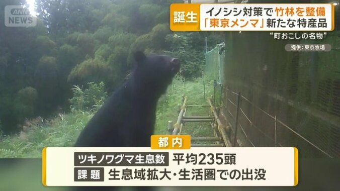 ツキノワグマの出没が課題に