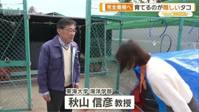 東海大学海洋学部　秋山信彦教授