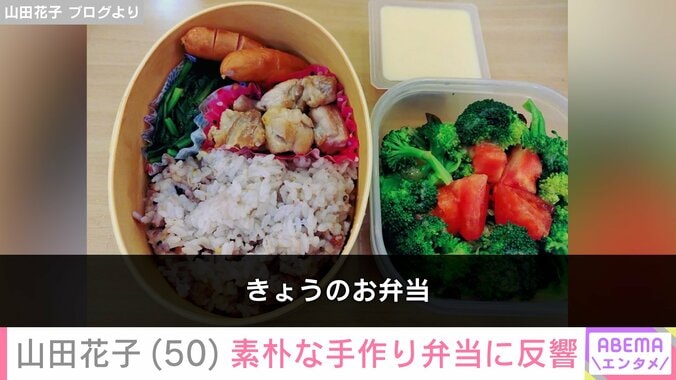 山田花子 ブログより