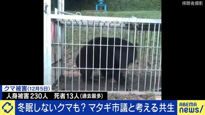 増え続けるクマの被害