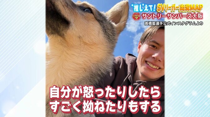 「全部可愛い」髙橋藍がデレデレ 愛犬との秘蔵ショット SVリーグ連覇へ「RS優勝したからといって、優勝できる場所ではない」意気込み 4枚目
