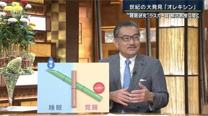 柳沢正史教授