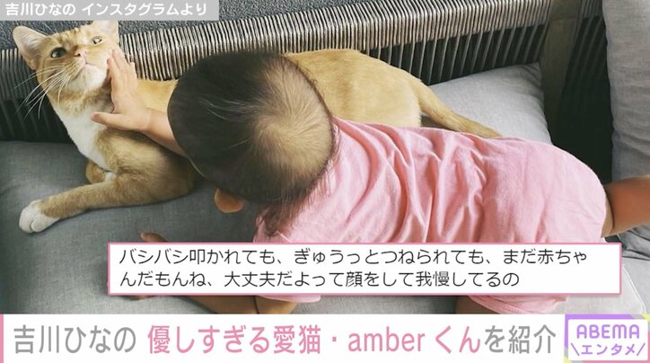 「こんなネコ見たことない」吉川ひなの、赤ちゃんに優しすぎる愛猫の行動を紹介