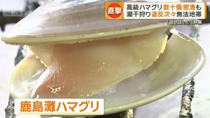 とれるのは…