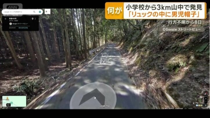 背の高い木の林が両側に広がっている道