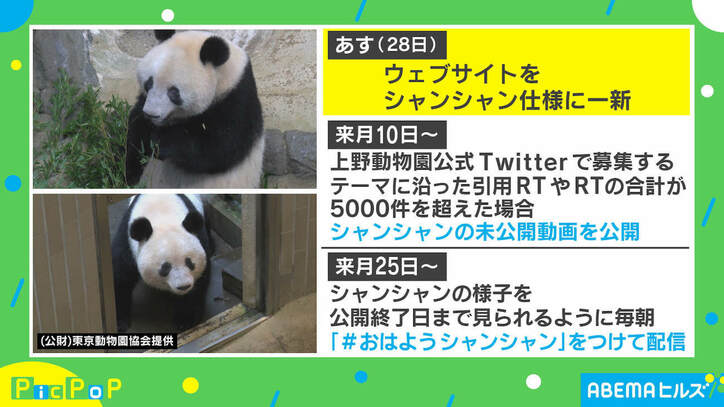上野動物園 パンダの日 にオンラインイベント開始 毎朝シャンシャンが見られる おはようシャンシャン 配信も 国内 Abema Times