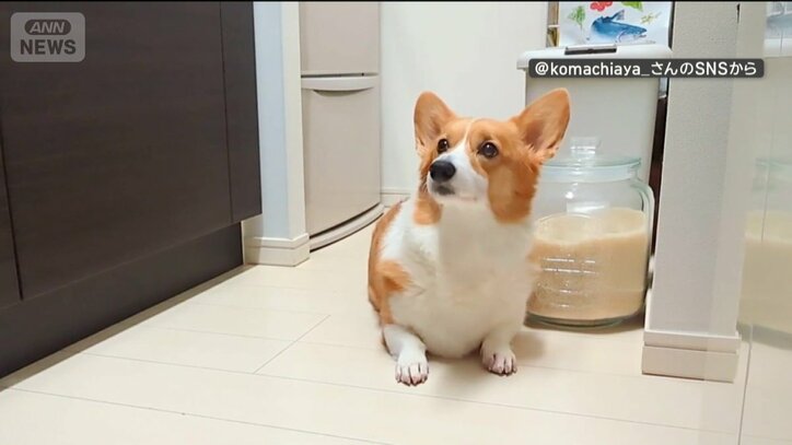 戻されないと、不満？