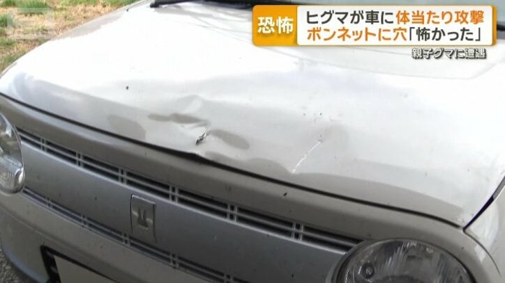 襲撃を受けた車のボンネット