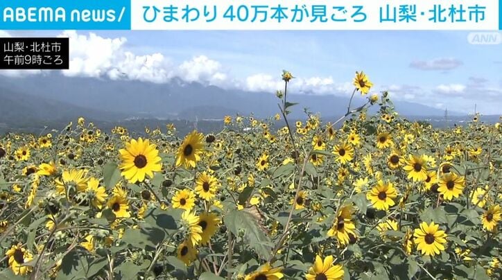 山梨・北杜市
