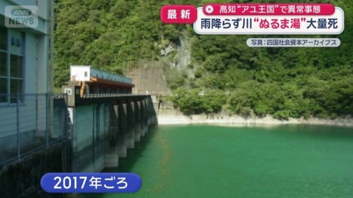 2017年ごろ