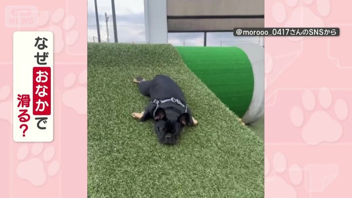 なぜおなかで滑る？