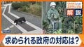 相次ぐクマ被害 警察官がライフル銃で駆除可能に 「ゾーニング管理」の現状