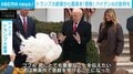 「かなり凶暴な鳥」トランプ大統領が七面鳥2羽を“恩赦” 恒例行事でバイデン氏批判も