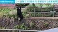 クマ目撃で3日間休校 宇都宮市で授業再開