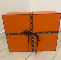 平野ノラ『パーフェクト十和子！』