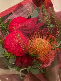 戸田恵子『おさきにおーるあっぷ！』