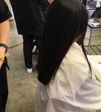 市川海老蔵『麗禾。』