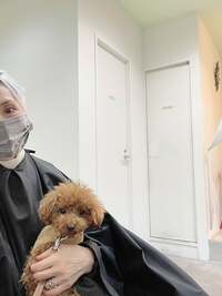 柏木由紀子『日曜日』