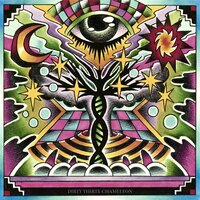 DIRTY THIRTY CHAMELEON