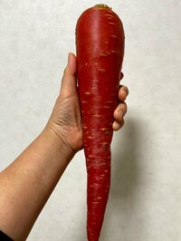 北斗晶『得した気分の…』