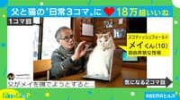 【映像】撫でようとする父に猫パンチ