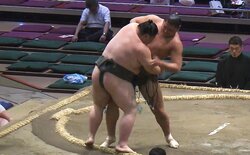 「ローラに似てる」褐色のイケメン力士に熱視線「未経験でこれはやばい」