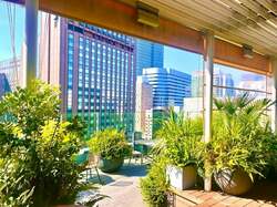  笠井アナ、高級レストランで起きたハプニングを報告「おでこに激しい痛みが」 