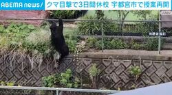 クマ目撃で3日間休校 宇都宮市で授業再開