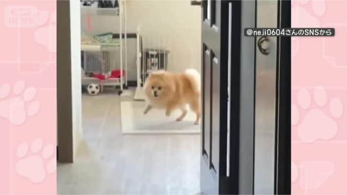 前脚でドンドン！