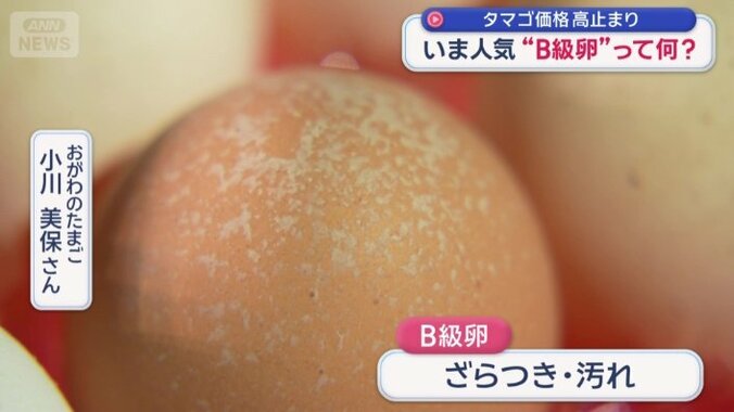 殻にざらつきや汚れがあるB級卵