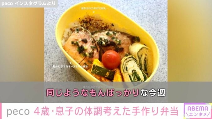 peco、4歳息子の体調を考えた愛情あふれる手作り弁当公開「油使っていない優しめなもの」 2枚目