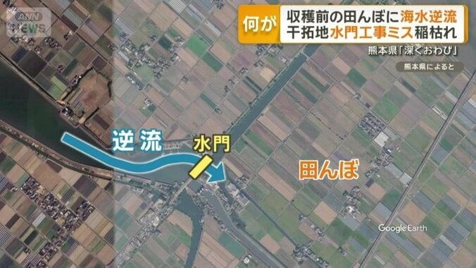 干拓地に流れ込む