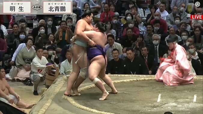 「棒立ち」の概念が覆る！北青鵬、常識破りの“膝ピン”相撲に「異次元の相撲」「普通じゃ考えられない」驚きと戸惑いが続出 1枚目