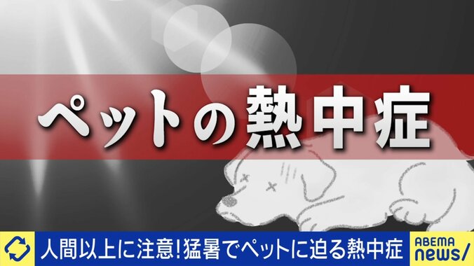 ペットの熱中症
