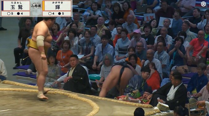 「これは衝撃映像」鉄人・玉鷲、行司を“なぎ倒し”土俵下へ落下「めっちゃ飛んだな」「大被弾」館内騒然 5枚目