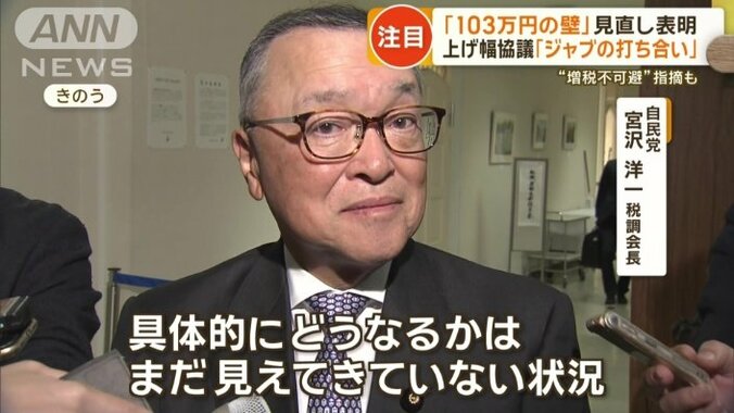 自民党　宮沢洋一税調会長