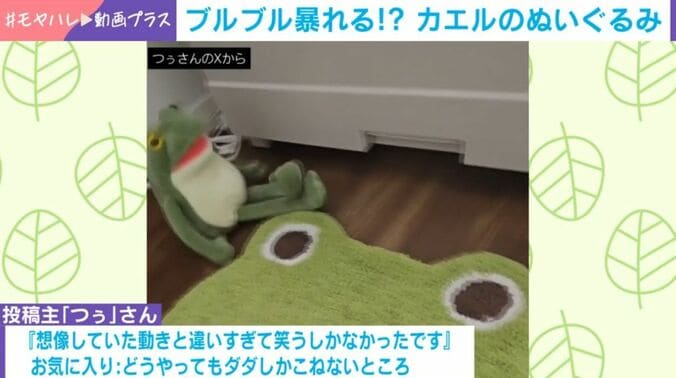投稿主のコメント