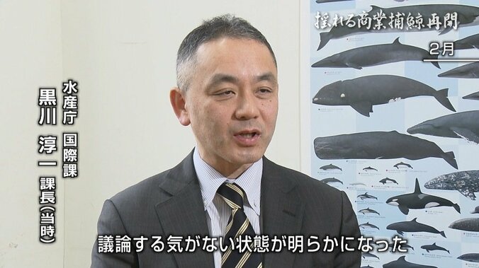 “航路は開けど、視界は不良”…商業捕鯨再開も、クジラの街・下関の関係者に残る不安 6枚目