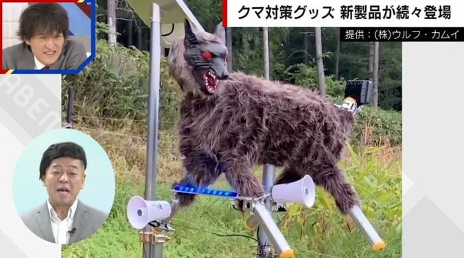 提供：（株）ウルフ・カムイ