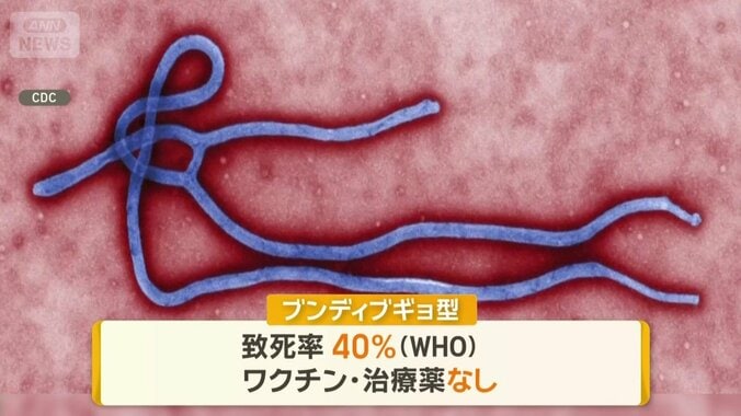 流行の「ブンディブギョ型」ウイルス